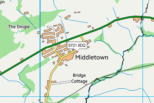 SY21 8DQ map - OS VectorMap District (Ordnance Survey)