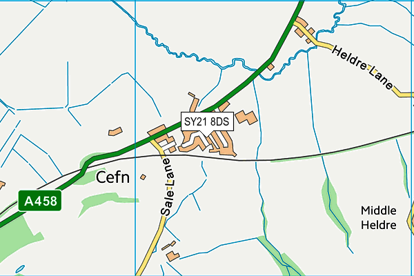 SY21 8DS map - OS VectorMap District (Ordnance Survey)