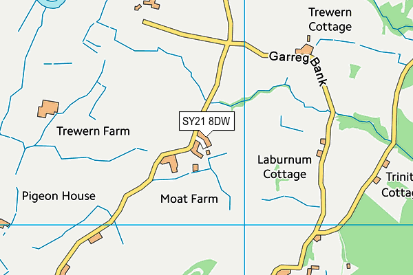 SY21 8DW map - OS VectorMap District (Ordnance Survey)