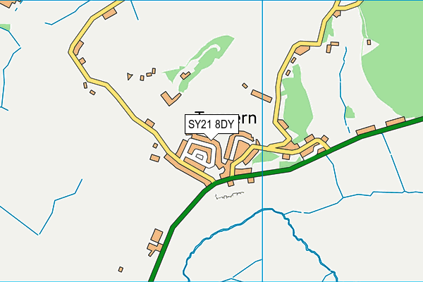 SY21 8DY map - OS VectorMap District (Ordnance Survey)