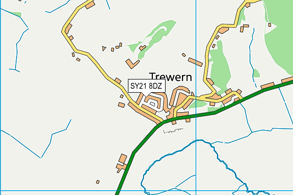 SY21 8DZ map - OS VectorMap District (Ordnance Survey)