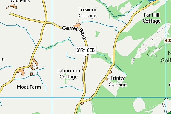 SY21 8EB map - OS VectorMap District (Ordnance Survey)