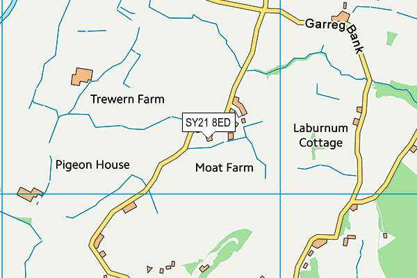 SY21 8ED map - OS VectorMap District (Ordnance Survey)