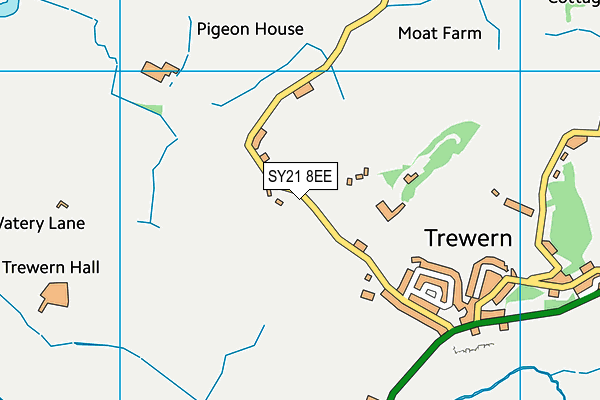SY21 8EE map - OS VectorMap District (Ordnance Survey)