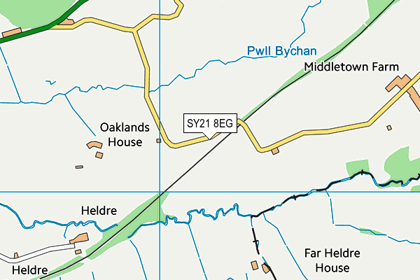 SY21 8EG map - OS VectorMap District (Ordnance Survey)