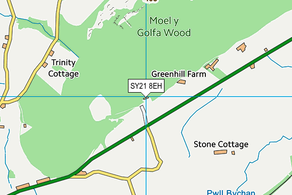 SY21 8EH map - OS VectorMap District (Ordnance Survey)