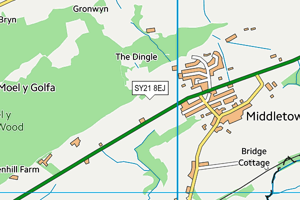 SY21 8EJ map - OS VectorMap District (Ordnance Survey)