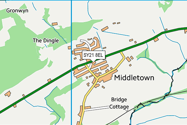 SY21 8EL map - OS VectorMap District (Ordnance Survey)