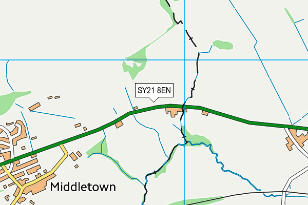 SY21 8EN map - OS VectorMap District (Ordnance Survey)