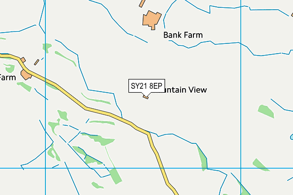 SY21 8EP map - OS VectorMap District (Ordnance Survey)