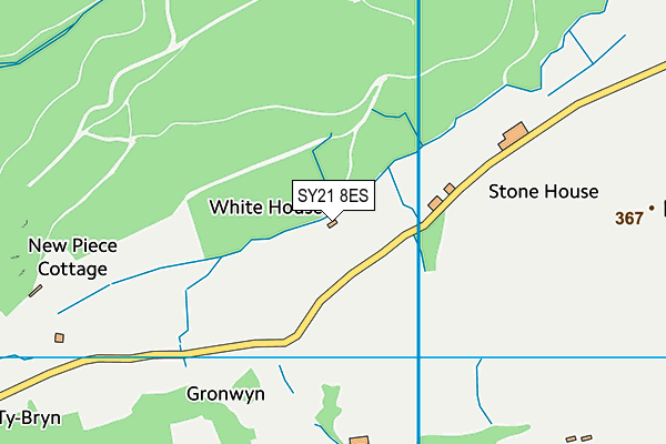 SY21 8ES map - OS VectorMap District (Ordnance Survey)