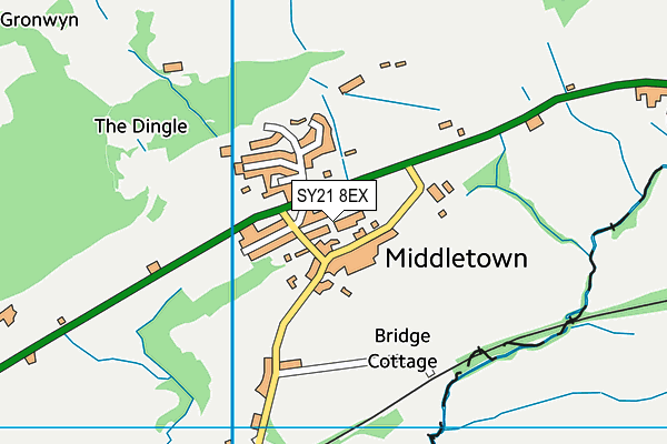 SY21 8EX map - OS VectorMap District (Ordnance Survey)