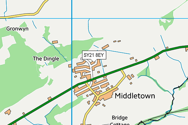 SY21 8EY map - OS VectorMap District (Ordnance Survey)