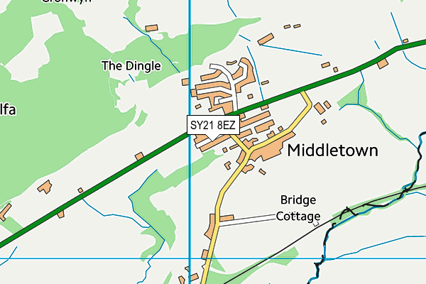 SY21 8EZ map - OS VectorMap District (Ordnance Survey)