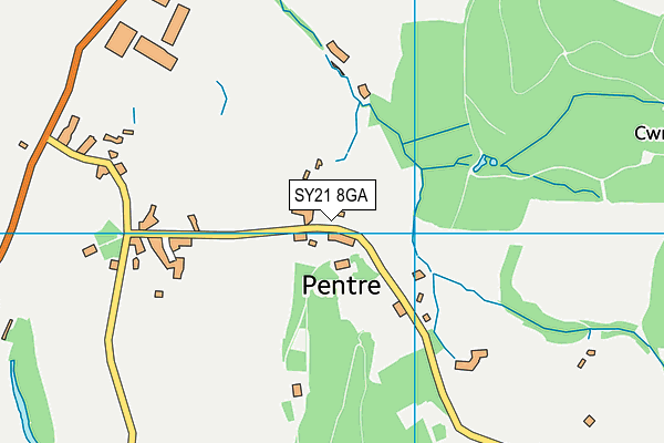 SY21 8GA map - OS VectorMap District (Ordnance Survey)