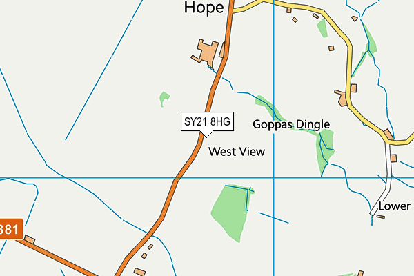 SY21 8HG map - OS VectorMap District (Ordnance Survey)