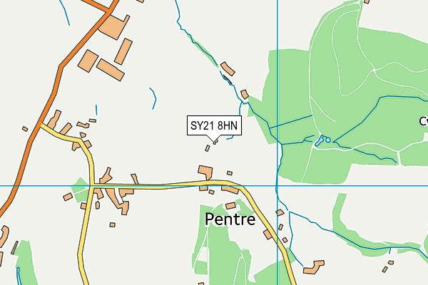 SY21 8HN map - OS VectorMap District (Ordnance Survey)