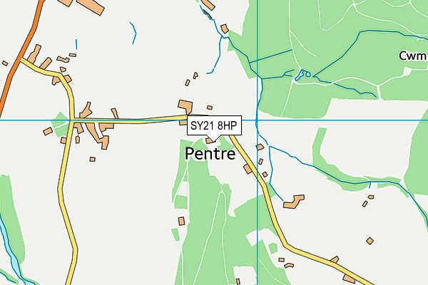 SY21 8HP map - OS VectorMap District (Ordnance Survey)