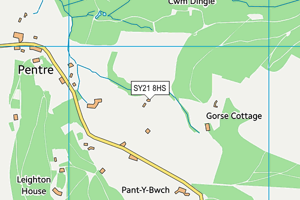 SY21 8HS map - OS VectorMap District (Ordnance Survey)