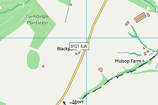 SY21 8JA map - OS VectorMap District (Ordnance Survey)