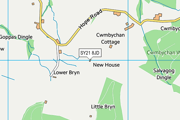 SY21 8JD map - OS VectorMap District (Ordnance Survey)