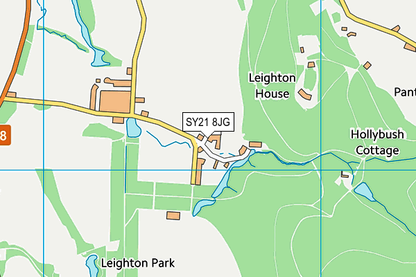 SY21 8JG map - OS VectorMap District (Ordnance Survey)