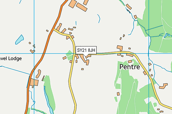 SY21 8JH map - OS VectorMap District (Ordnance Survey)