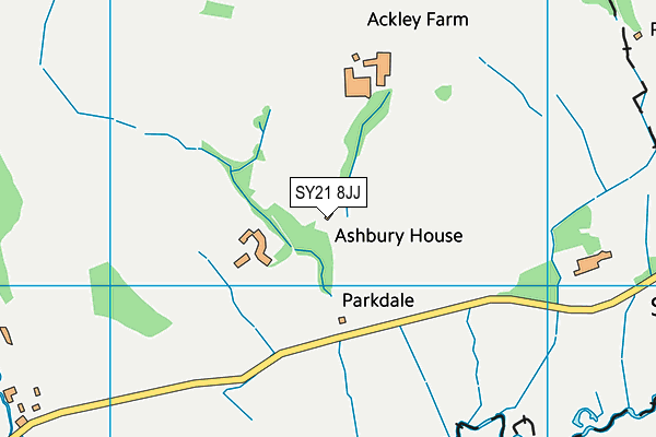 SY21 8JJ map - OS VectorMap District (Ordnance Survey)