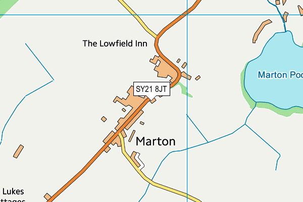 SY21 8JT map - OS VectorMap District (Ordnance Survey)