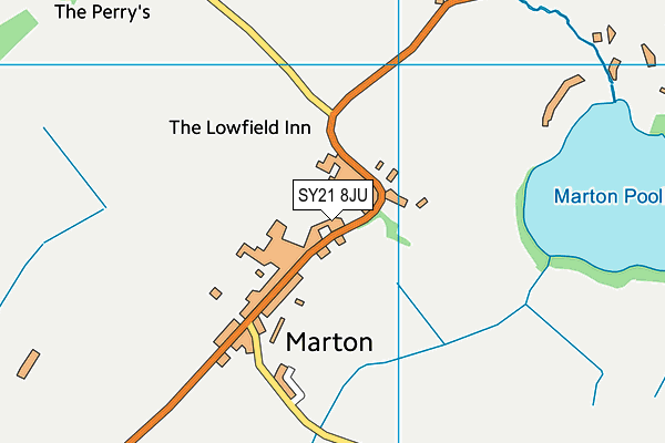 SY21 8JU map - OS VectorMap District (Ordnance Survey)