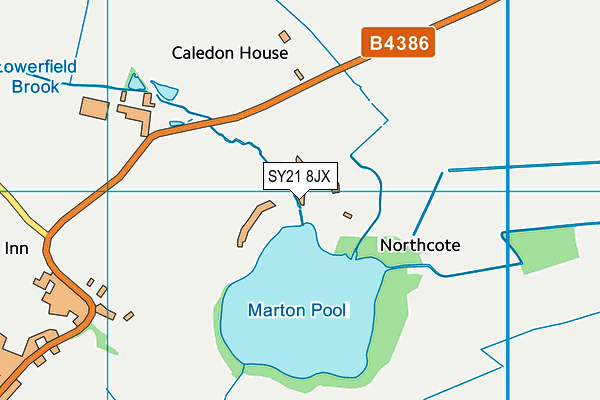 SY21 8JX map - OS VectorMap District (Ordnance Survey)