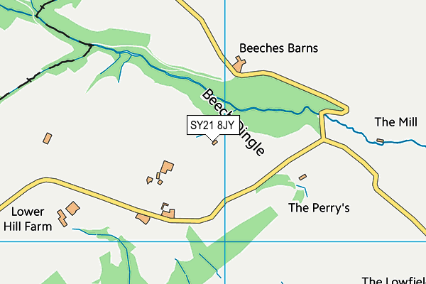 SY21 8JY map - OS VectorMap District (Ordnance Survey)