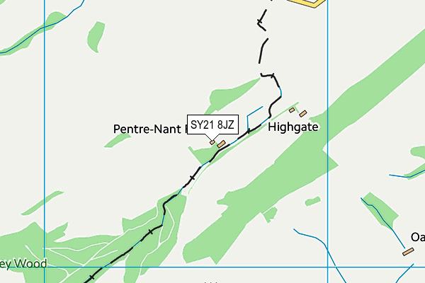 SY21 8JZ map - OS VectorMap District (Ordnance Survey)