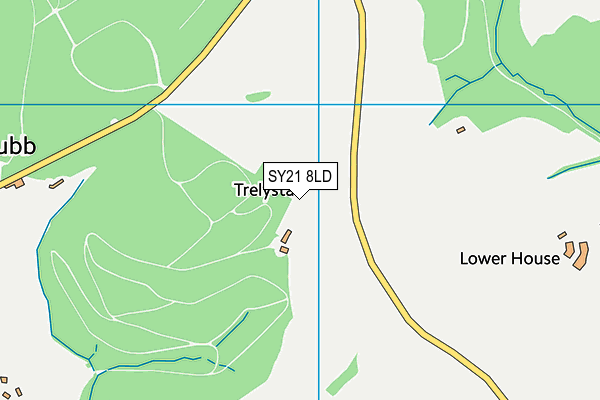 SY21 8LD map - OS VectorMap District (Ordnance Survey)