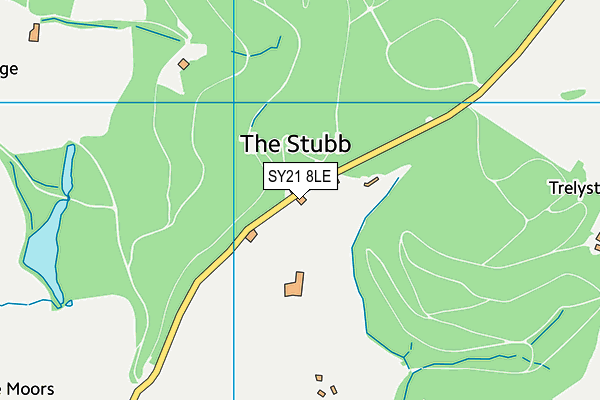 SY21 8LE map - OS VectorMap District (Ordnance Survey)