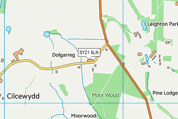 SY21 8LN map - OS VectorMap District (Ordnance Survey)