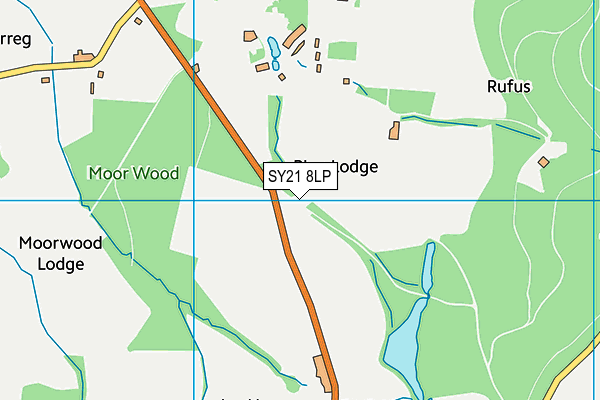 SY21 8LP map - OS VectorMap District (Ordnance Survey)