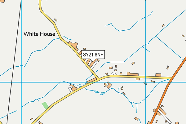 SY21 8NF map - OS VectorMap District (Ordnance Survey)