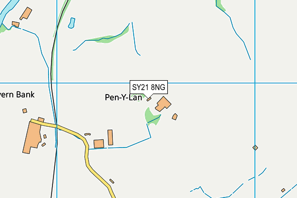 SY21 8NG map - OS VectorMap District (Ordnance Survey)