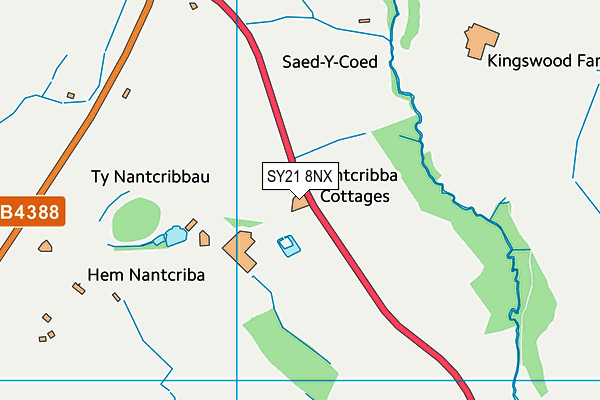 SY21 8NX map - OS VectorMap District (Ordnance Survey)