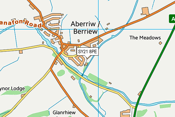 SY21 8PE map - OS VectorMap District (Ordnance Survey)