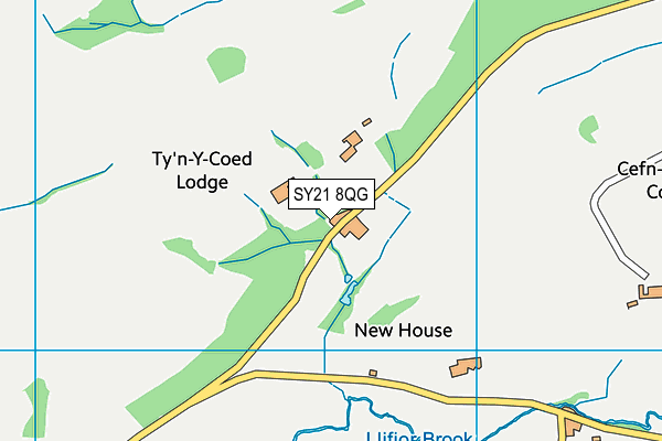 SY21 8QG map - OS VectorMap District (Ordnance Survey)