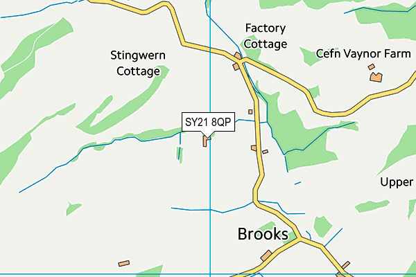 SY21 8QP map - OS VectorMap District (Ordnance Survey)