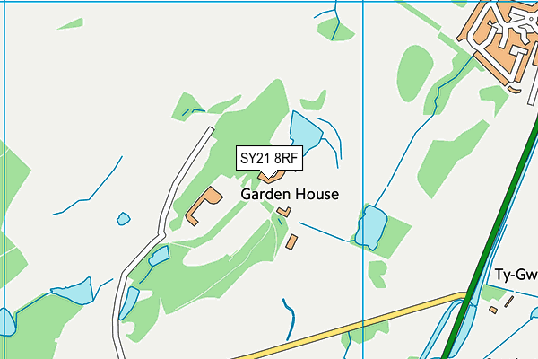 SY21 8RF map - OS VectorMap District (Ordnance Survey)