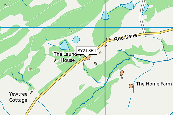 SY21 8RJ map - OS VectorMap District (Ordnance Survey)