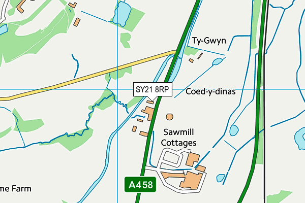 SY21 8RP map - OS VectorMap District (Ordnance Survey)