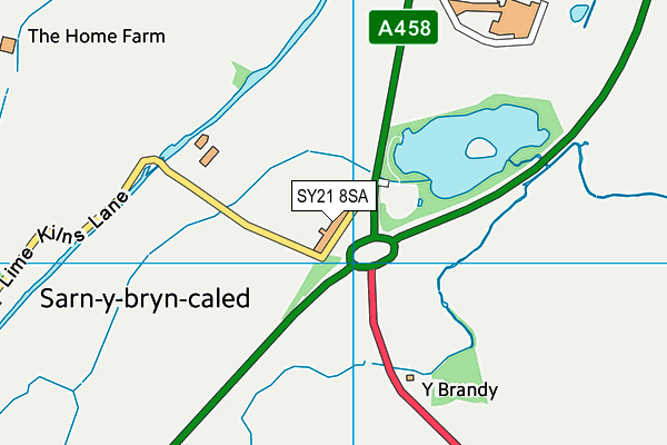 SY21 8SA map - OS VectorMap District (Ordnance Survey)