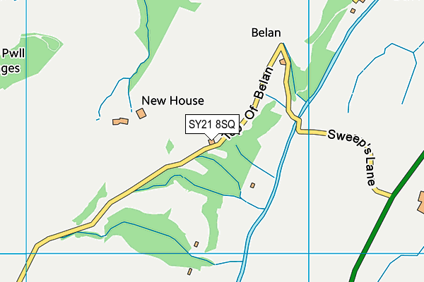 SY21 8SQ map - OS VectorMap District (Ordnance Survey)