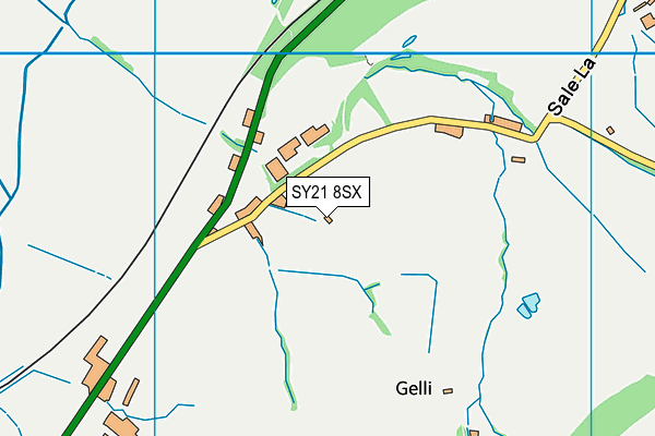 SY21 8SX map - OS VectorMap District (Ordnance Survey)