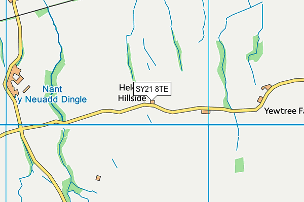 SY21 8TE map - OS VectorMap District (Ordnance Survey)